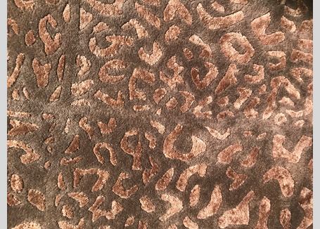 Surya 5x8 Rug